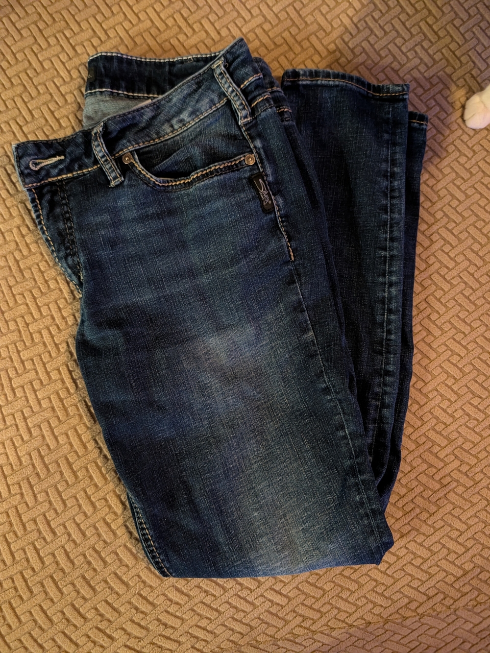 Silver Jeans Dark Indigo Skinny Jeans
